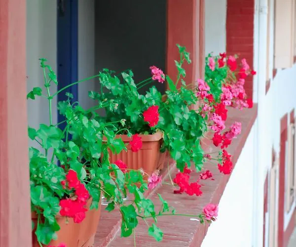 Boutik O'domaine Bed & Breakfast Chis