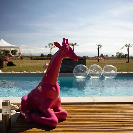 Couette-café O'domaine St Ferreol