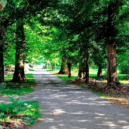 O'domaine St Ferreol Couette-café