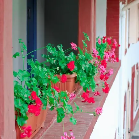 Boutik O'domaine Bed & Breakfast Chis